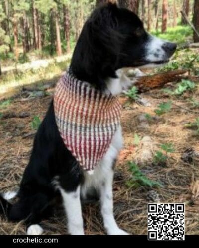 Mountain Dog Bandana - Crochet Pattern
