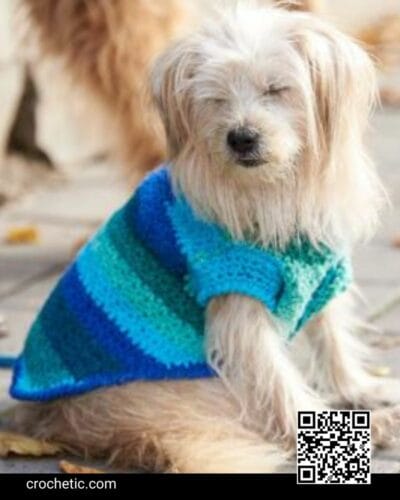 Bestie Dog Coat - Crochet Pattern
