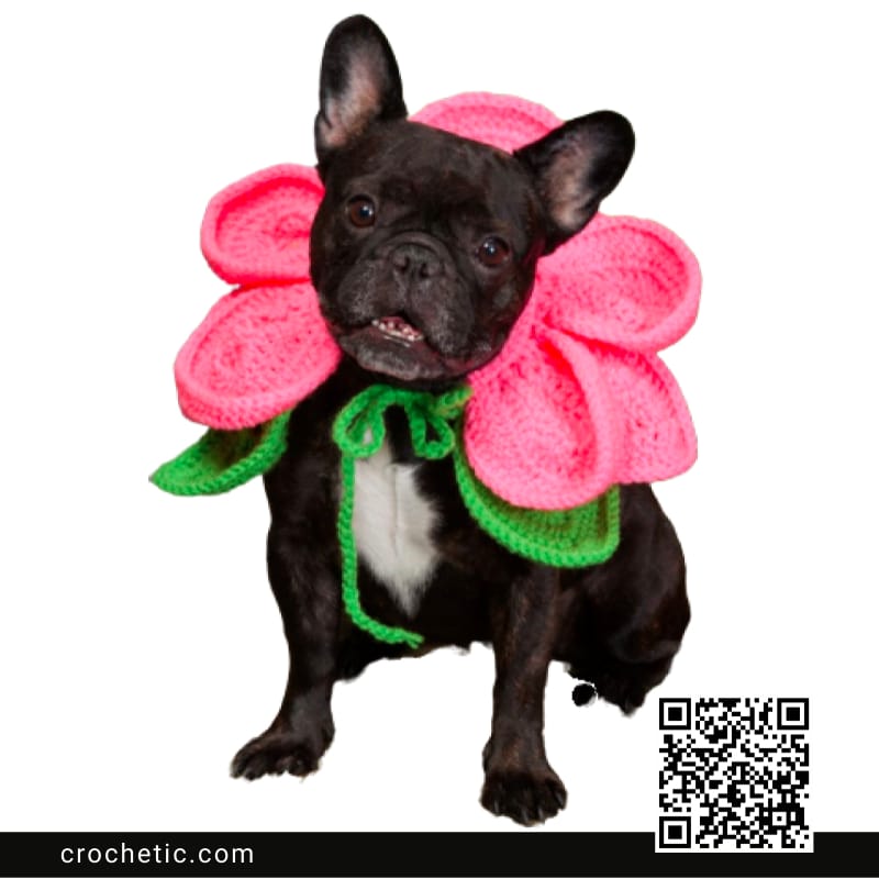 Blooming Dog - Crochet Pattern