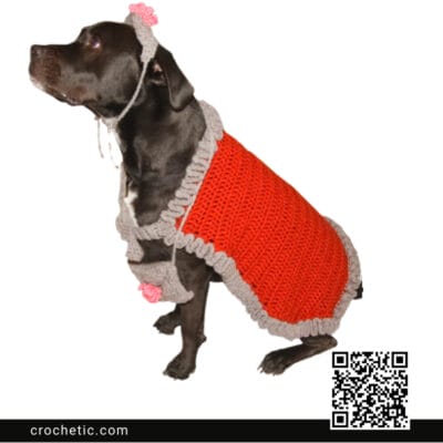 Diva Dog Outfit - Crochet Pattern