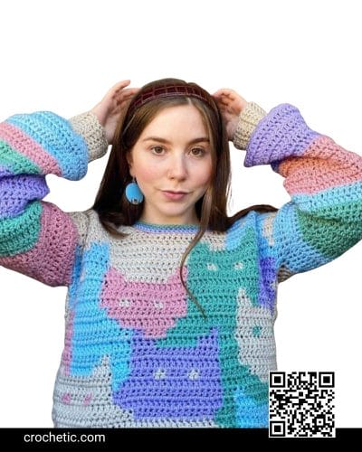 Easy Cat Sweater - Crochet Pattern