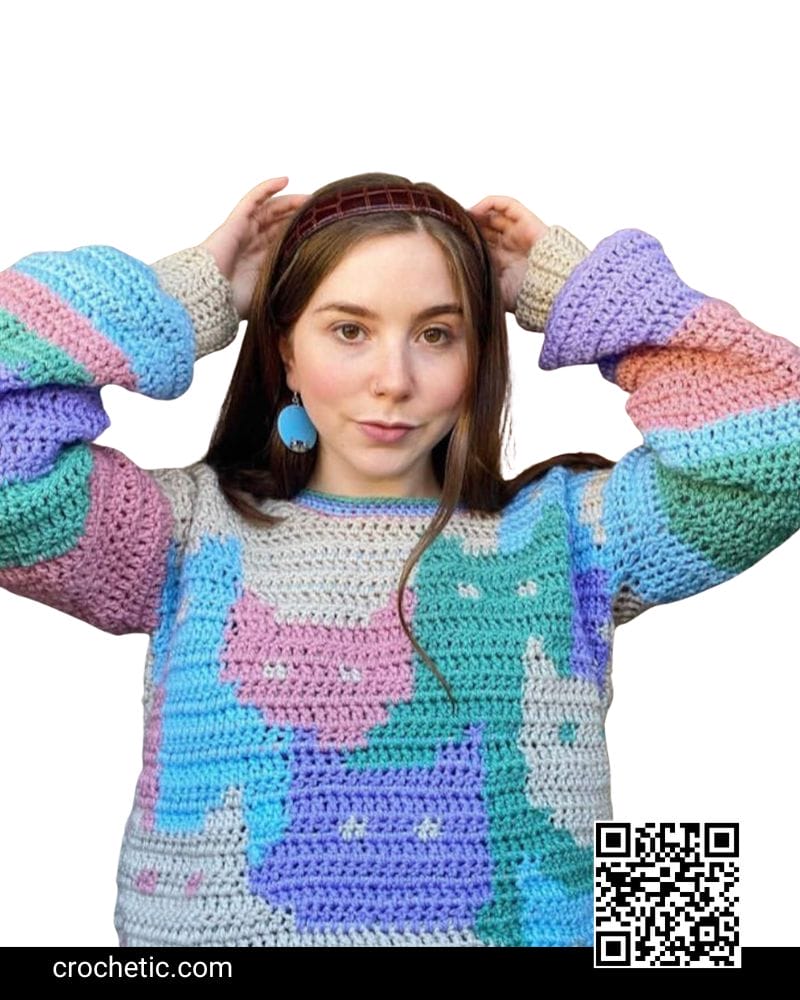 Easy Cat Sweater - Crochet Pattern