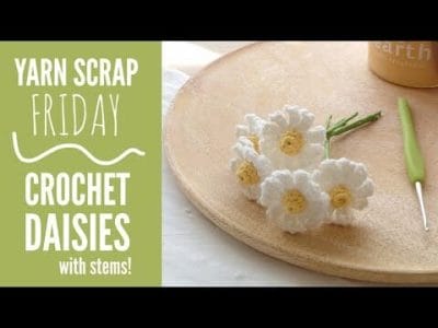 Crochet Daisies with Stems  - Free Pattern
