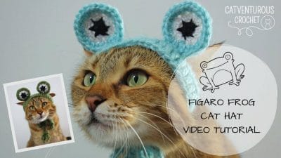 Figaro Frog Cat Crochet Hat - Free Pattern