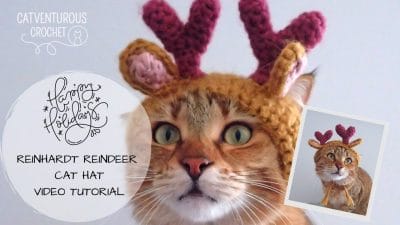 Reinhardt Reindeer Crochet Cat Hat - Free Pattern