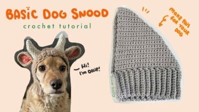 Basic Dog Snood Crochet Tutorial - Free Pattern
