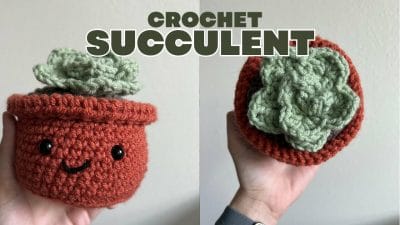 Beginner Crochet Succulent Tutorial - Free Pattern