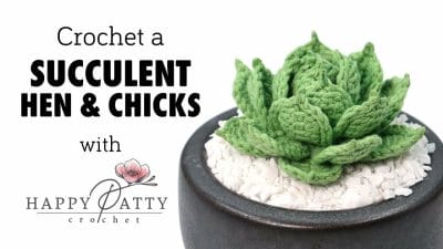 Crafted Succulent Creations - Free Pattern
