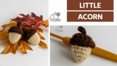 Crochet Acorn for Your Fall Decor - Free Pattern