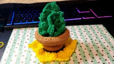 Crochet Monstera Coasters & Pot - Free Pattern