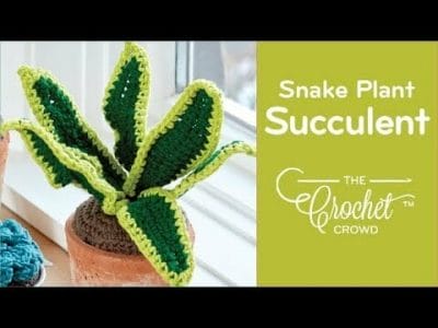 Crochet Snake Plant - Free Pattern