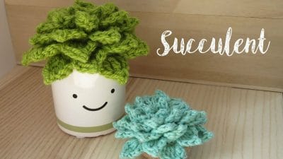 Crochet Succulent Echeveria Plant - Free Pattern