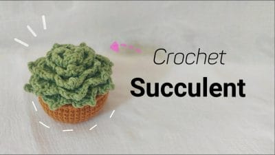Crochet Succulent - Free pattern