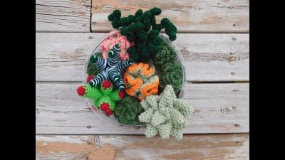 Crochet Succulent Garden Tutorial - Free Pattern