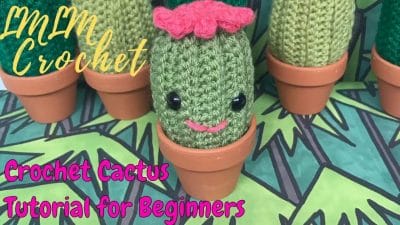 Crochet a Cactus for Beginners - Free Pattern