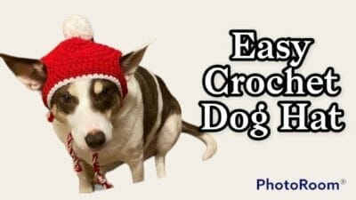 How to Crochet Dog Hat - Free Pattern